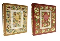  GEDEON CR46500WB ARRAS box 10x15/500